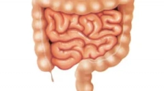 Milyen paraziták lakhatnak egy személy belváján